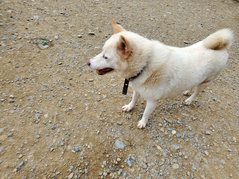 f:id:roukenhome-ann:20191003050207j:plain