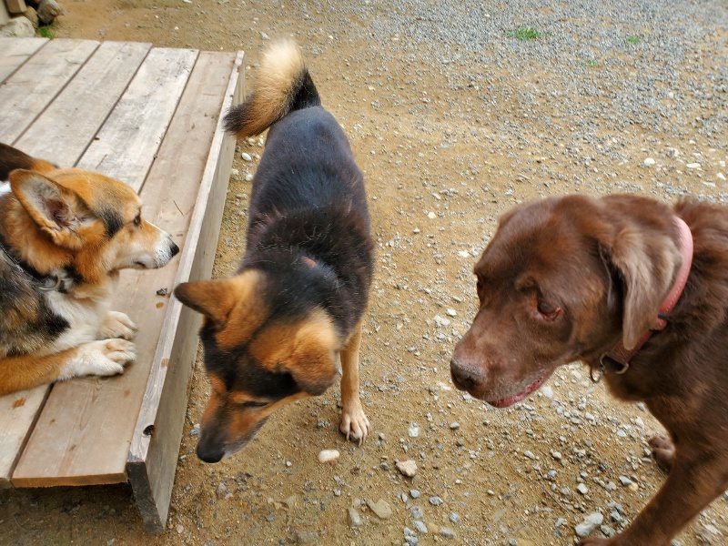 f:id:roukenhome-ann:20191003050228j:plain
