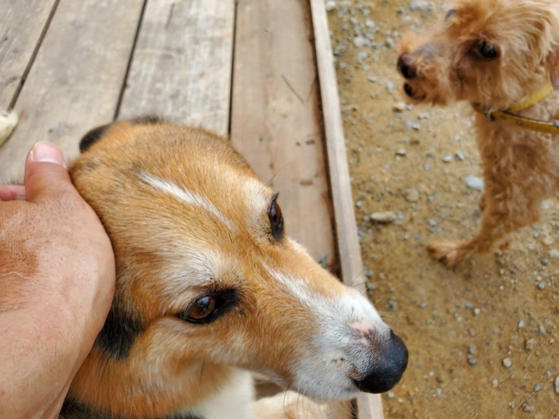 f:id:roukenhome-ann:20191003050250j:plain