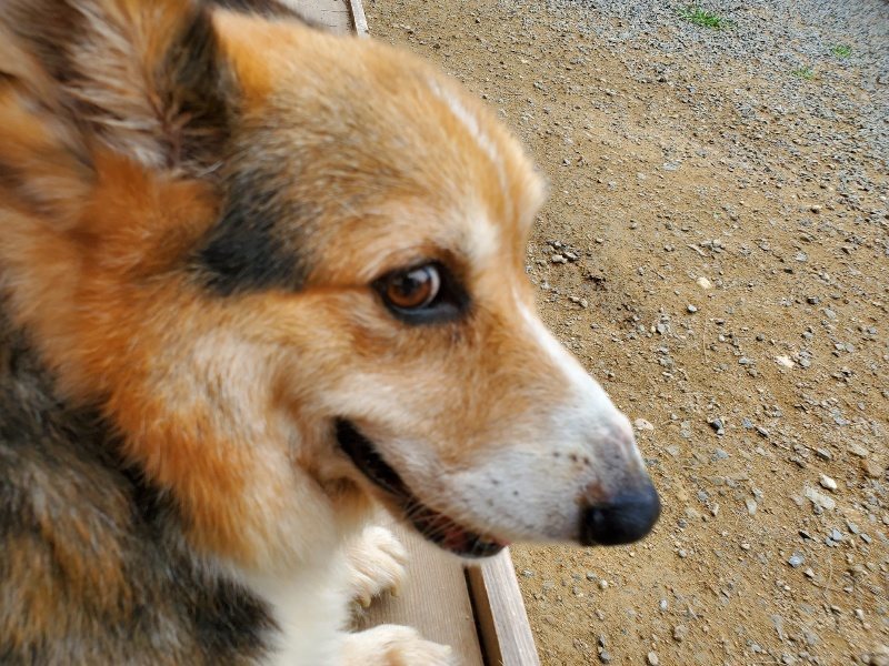 f:id:roukenhome-ann:20191003050832j:plain