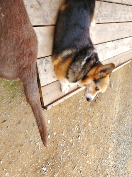 f:id:roukenhome-ann:20191003050836j:plain