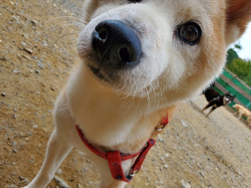 f:id:roukenhome-ann:20191003050858j:plain