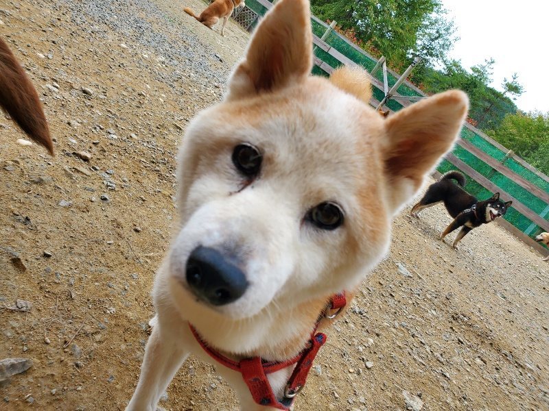 f:id:roukenhome-ann:20191003050908j:plain