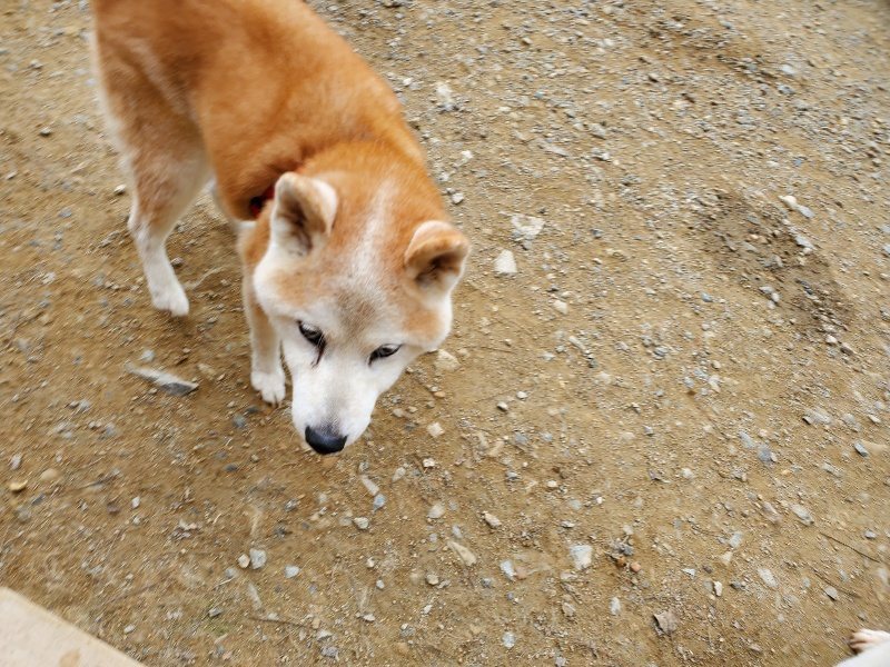 f:id:roukenhome-ann:20191003050913j:plain
