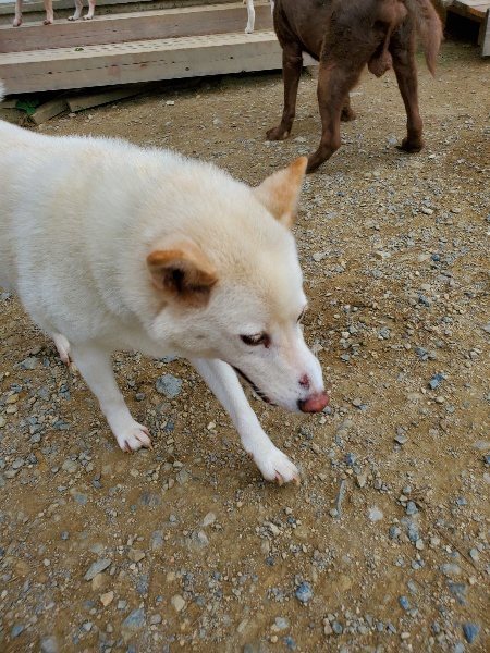 f:id:roukenhome-ann:20191003051041j:plain
