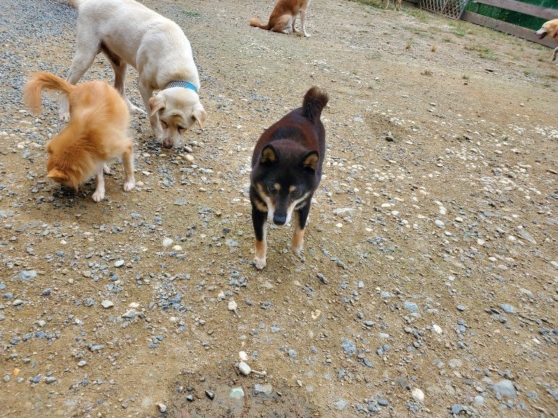 f:id:roukenhome-ann:20191003051113j:plain