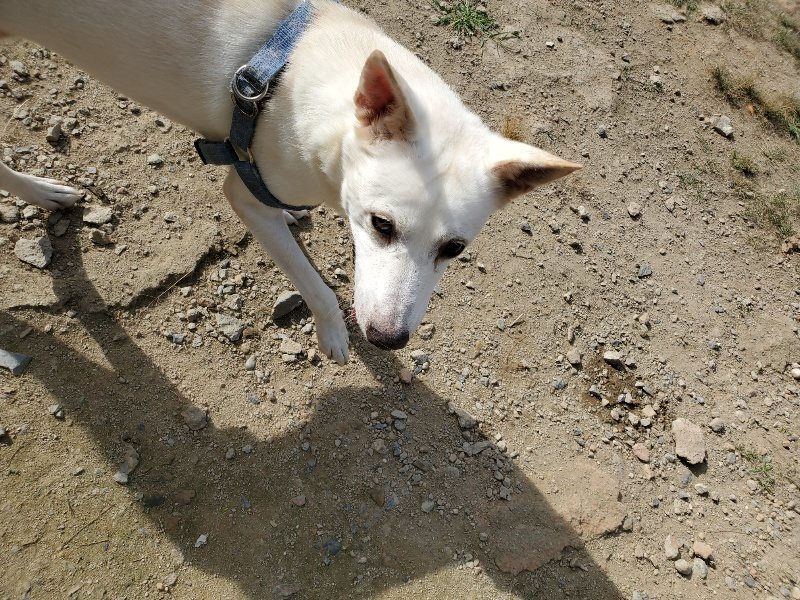 f:id:roukenhome-ann:20191003124254j:plain f:id:roukenhome-ann:20191003124254j:plain