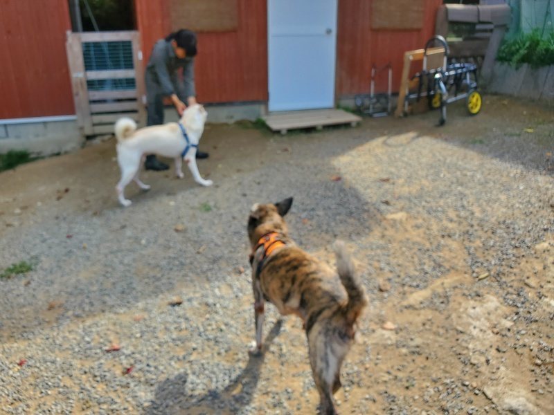 f:id:roukenhome-ann:20191003124302j:plain f:id:roukenhome-ann:20191003124302j:plain