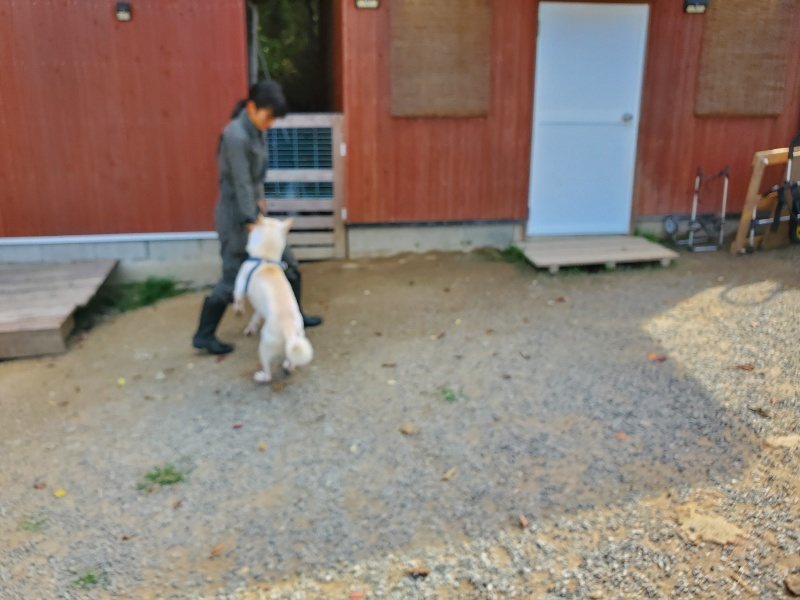 f:id:roukenhome-ann:20191003124306j:plain f:id:roukenhome-ann:20191003124306j:plain