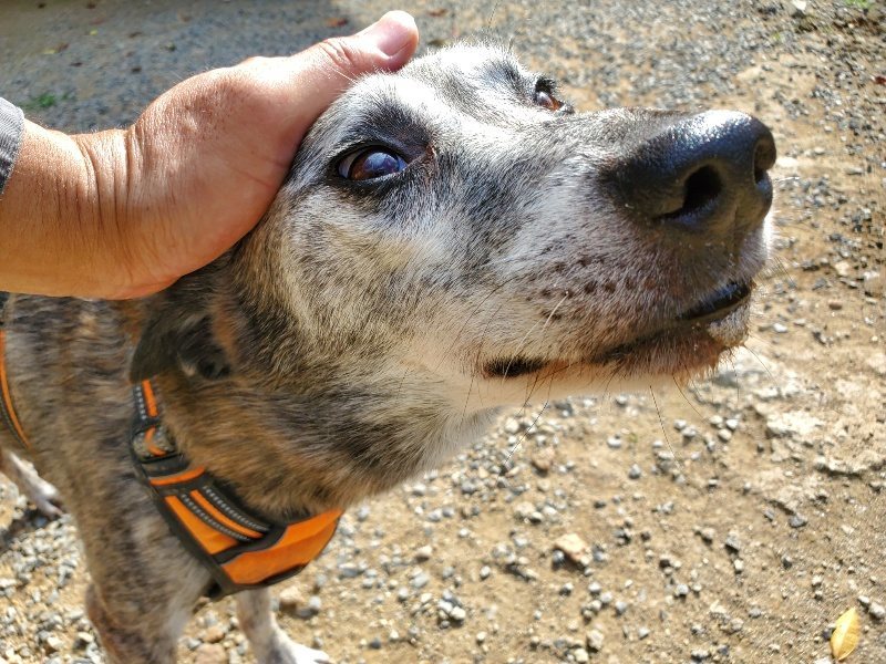 f:id:roukenhome-ann:20191003124311j:plain f:id:roukenhome-ann:20191003124311j:plain