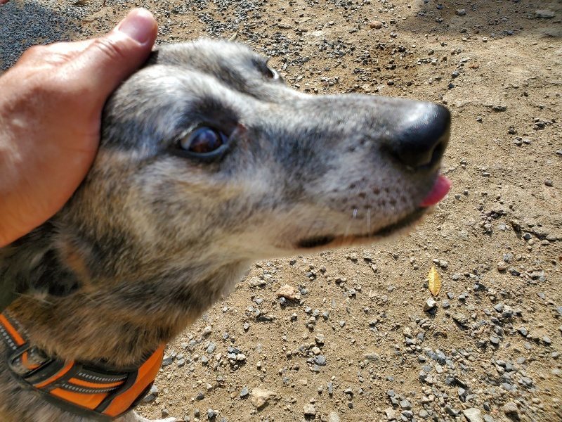 f:id:roukenhome-ann:20191003124323j:plain f:id:roukenhome-ann:20191003124323j:plain