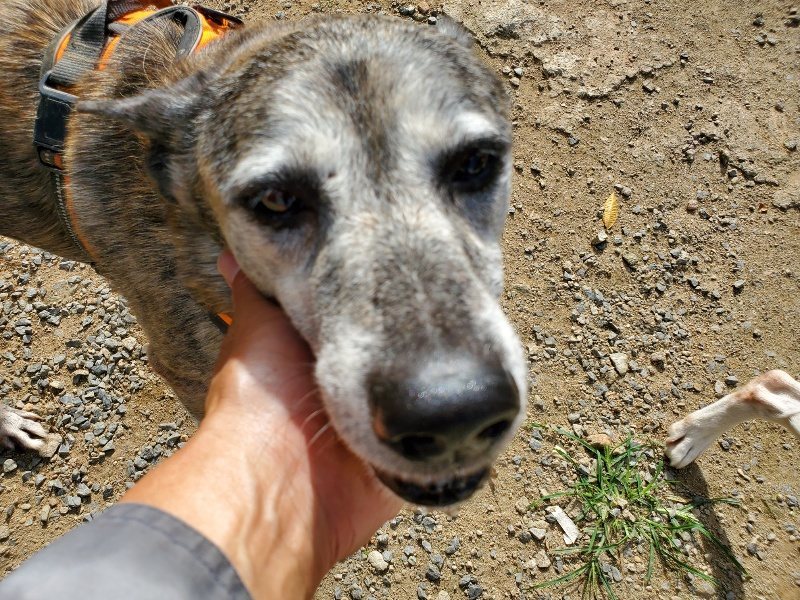 f:id:roukenhome-ann:20191003124328j:plain f:id:roukenhome-ann:20191003124328j:plain