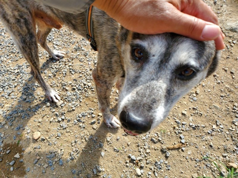 f:id:roukenhome-ann:20191003124334j:plain f:id:roukenhome-ann:20191003124334j:plain