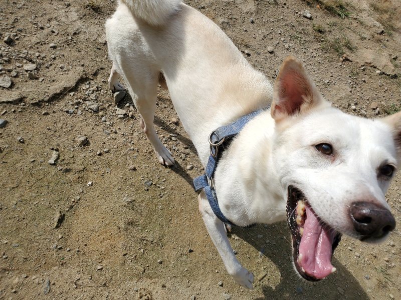 f:id:roukenhome-ann:20191003124351j:plain f:id:roukenhome-ann:20191003124351j:plain