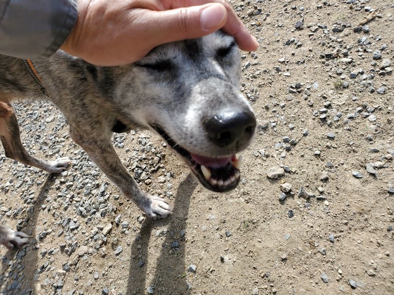 f:id:roukenhome-ann:20191003124358j:plain f:id:roukenhome-ann:20191003124358j:plain