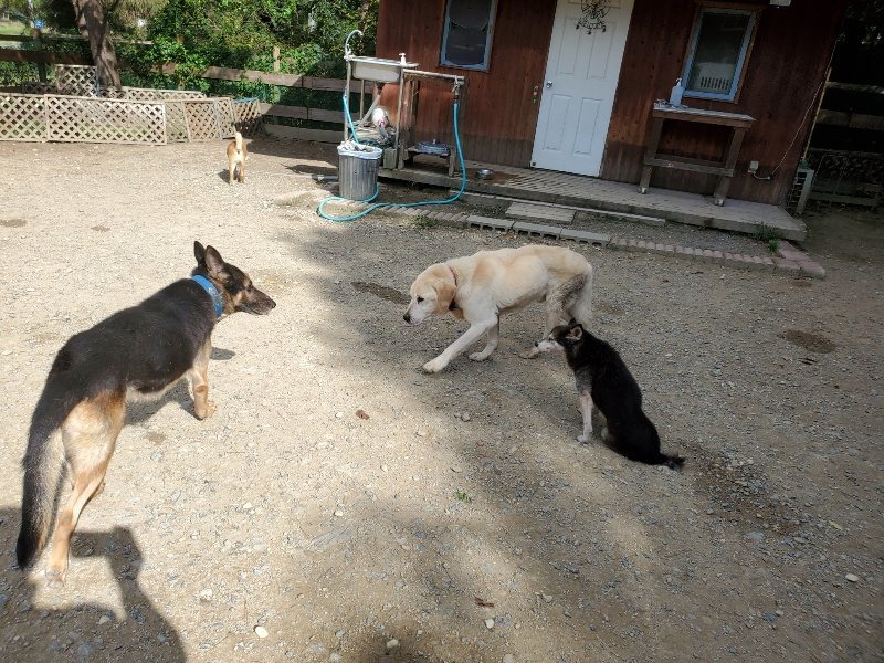 f:id:roukenhome-ann:20191003124929j:plain f:id:roukenhome-ann:20191003124929j:plain