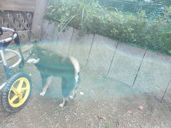 f:id:roukenhome-ann:20191003124939j:plain f:id:roukenhome-ann:20191003124939j:plain