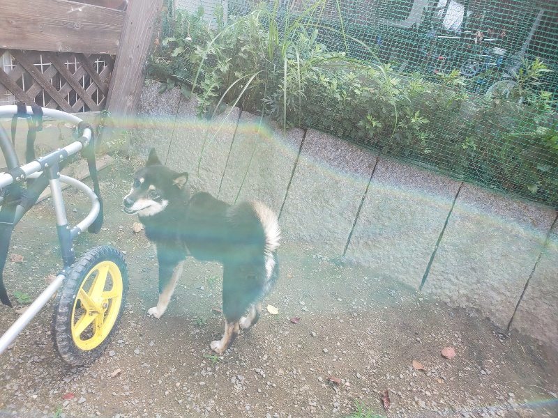 f:id:roukenhome-ann:20191003124946j:plain f:id:roukenhome-ann:20191003124946j:plain