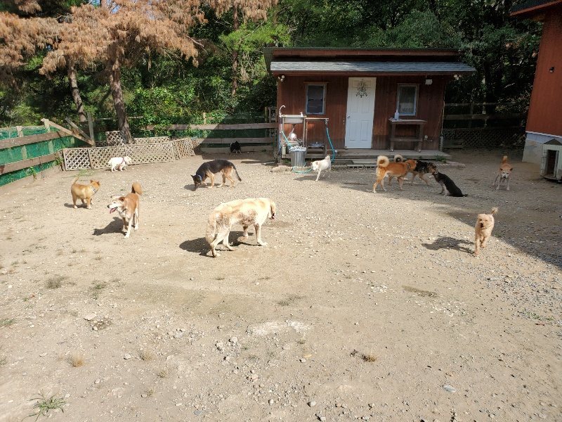 f:id:roukenhome-ann:20191003124952j:plain f:id:roukenhome-ann:20191003124952j:plain