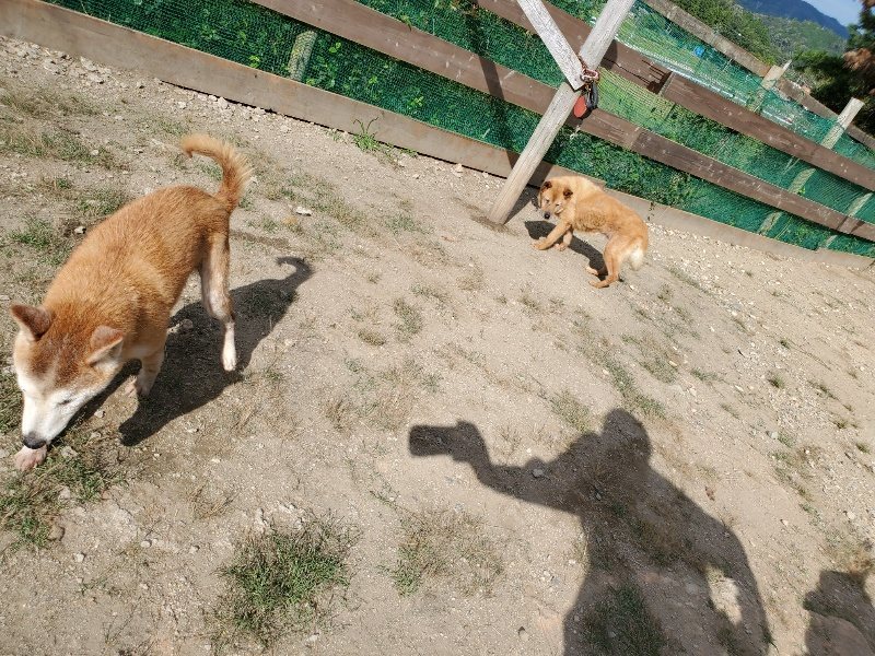 f:id:roukenhome-ann:20191003124959j:plain f:id:roukenhome-ann:20191003124959j:plain