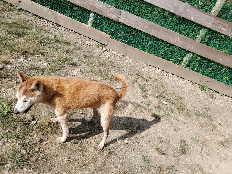 f:id:roukenhome-ann:20191003125009j:plain f:id:roukenhome-ann:20191003125009j:plain