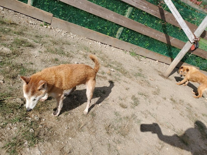 f:id:roukenhome-ann:20191003125015j:plain f:id:roukenhome-ann:20191003125015j:plain