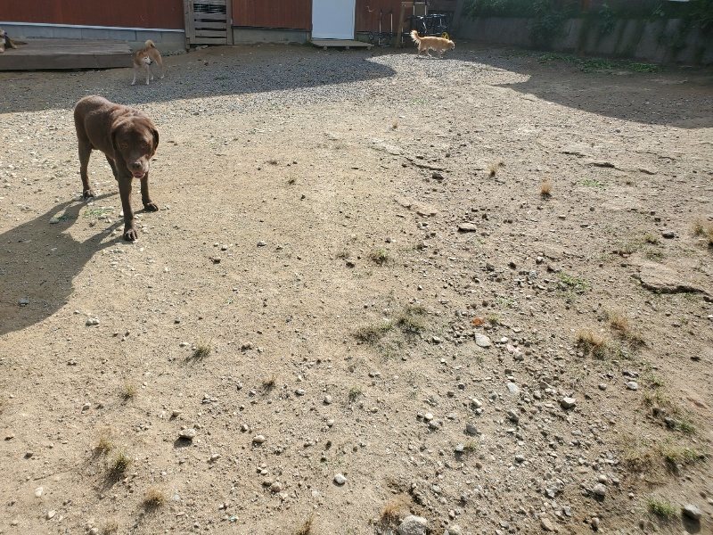 f:id:roukenhome-ann:20191003125029j:plain f:id:roukenhome-ann:20191003125029j:plain