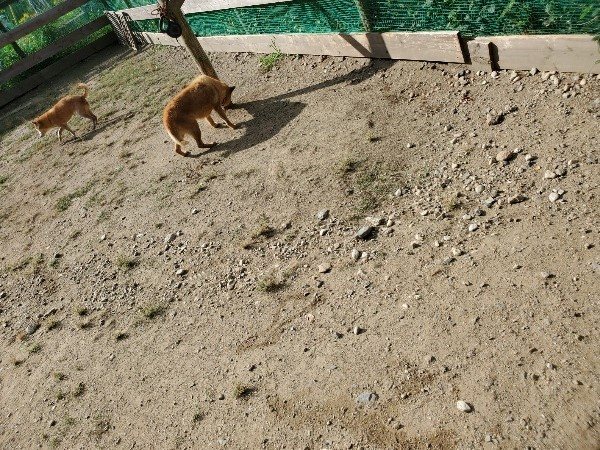 f:id:roukenhome-ann:20191003125034j:plain f:id:roukenhome-ann:20191003125034j:plain