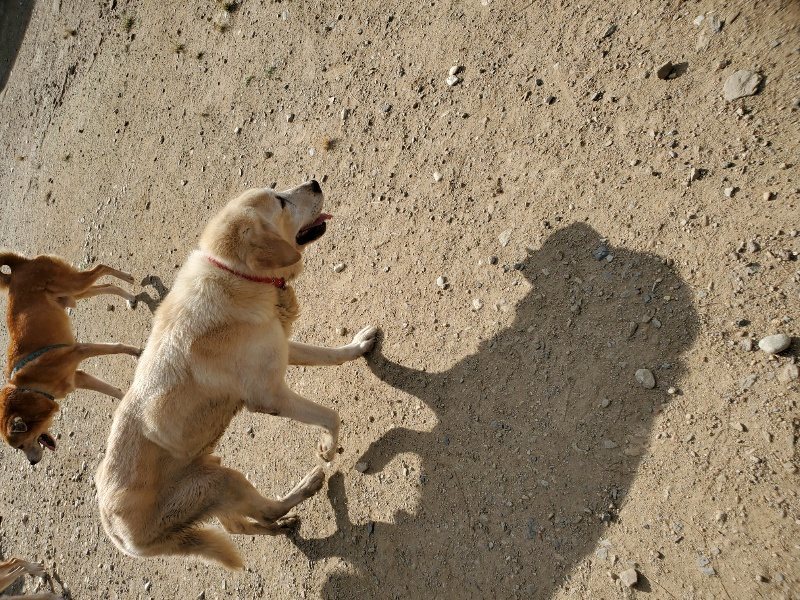 f:id:roukenhome-ann:20191003125047j:plain f:id:roukenhome-ann:20191003125047j:plain