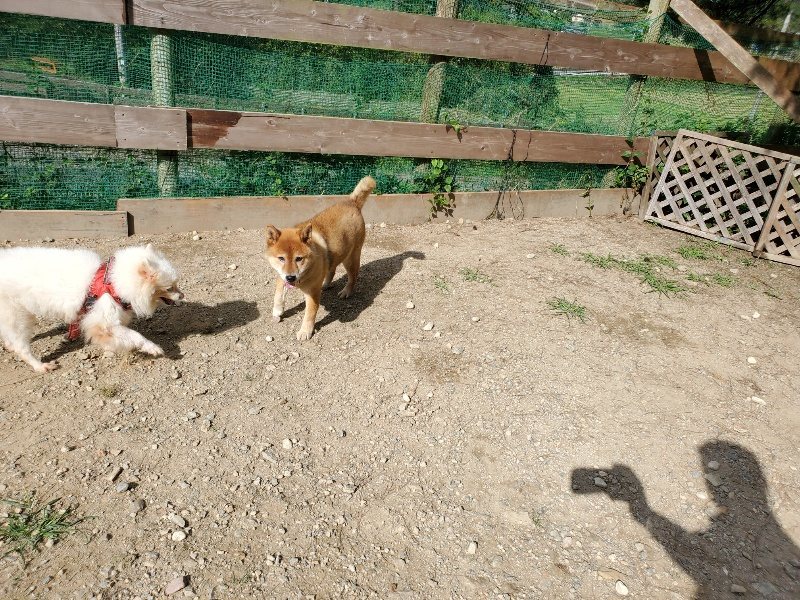 f:id:roukenhome-ann:20191003125052j:plain f:id:roukenhome-ann:20191003125052j:plain