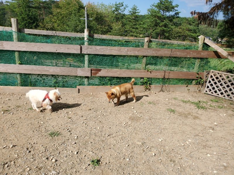 f:id:roukenhome-ann:20191003125058j:plain f:id:roukenhome-ann:20191003125058j:plain