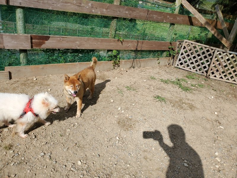 f:id:roukenhome-ann:20191003125105j:plain f:id:roukenhome-ann:20191003125105j:plain