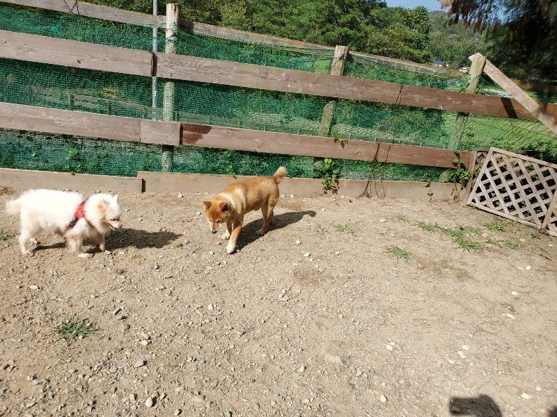 f:id:roukenhome-ann:20191003125110j:plain f:id:roukenhome-ann:20191003125110j:plain