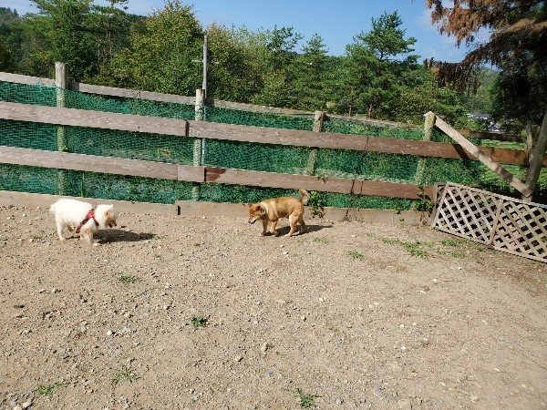 f:id:roukenhome-ann:20191003125114j:plain f:id:roukenhome-ann:20191003125114j:plain