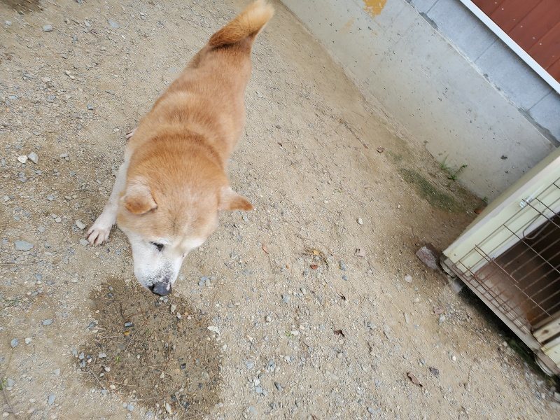 f:id:roukenhome-ann:20191003125126j:plain f:id:roukenhome-ann:20191003125126j:plain