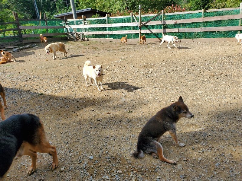 f:id:roukenhome-ann:20191003125150j:plain f:id:roukenhome-ann:20191003125150j:plain