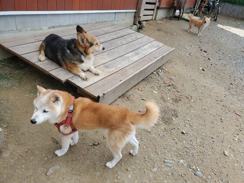 f:id:roukenhome-ann:20191003125235j:plain f:id:roukenhome-ann:20191003125235j:plain