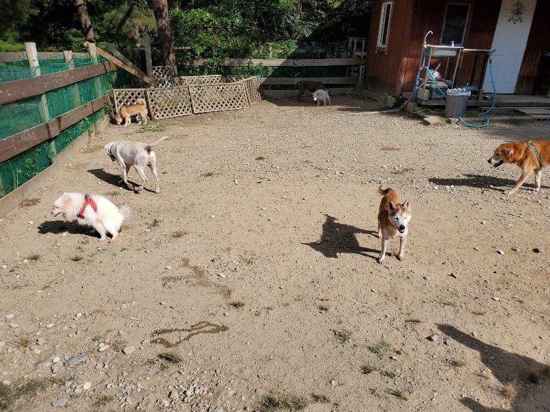 f:id:roukenhome-ann:20191003130014j:plain f:id:roukenhome-ann:20191003130014j:plain