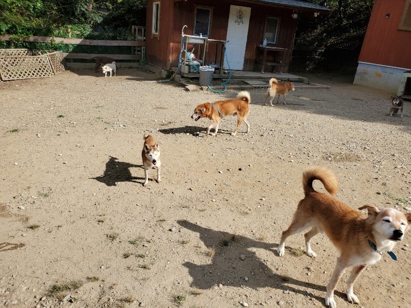 f:id:roukenhome-ann:20191003130020j:plain f:id:roukenhome-ann:20191003130020j:plain