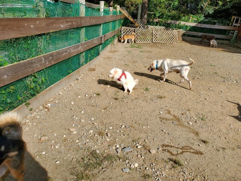 f:id:roukenhome-ann:20191003130026j:plain f:id:roukenhome-ann:20191003130026j:plain