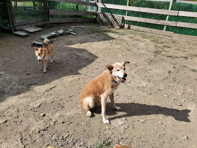 f:id:roukenhome-ann:20191003130043j:plain f:id:roukenhome-ann:20191003130043j:plain