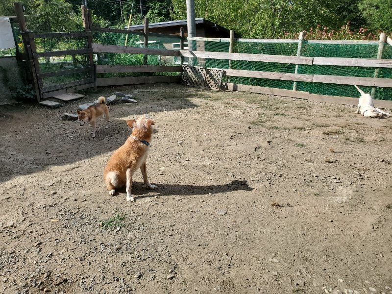 f:id:roukenhome-ann:20191003130049j:plain f:id:roukenhome-ann:20191003130049j:plain