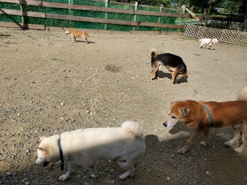 f:id:roukenhome-ann:20191003130054j:plain f:id:roukenhome-ann:20191003130054j:plain