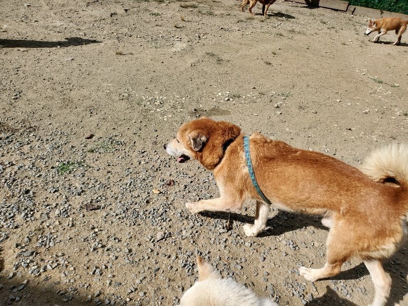 f:id:roukenhome-ann:20191003130100j:plain f:id:roukenhome-ann:20191003130100j:plain