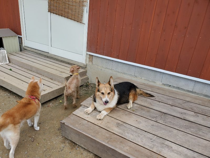 f:id:roukenhome-ann:20191003130106j:plain f:id:roukenhome-ann:20191003130106j:plain