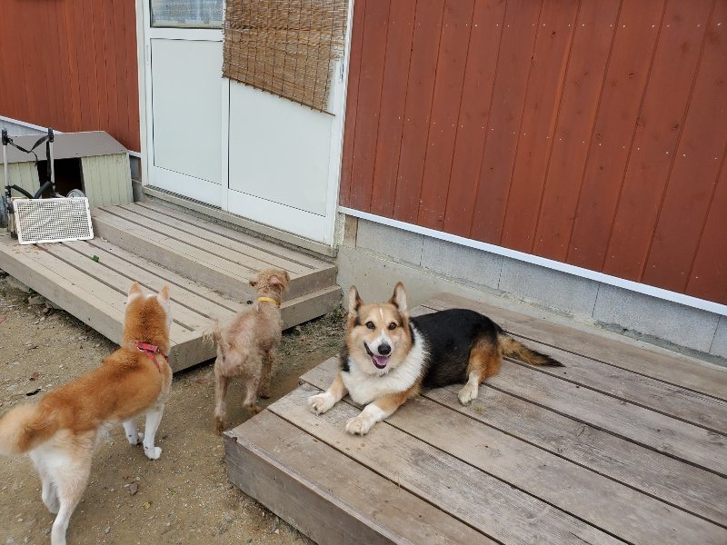 f:id:roukenhome-ann:20191003130110j:plain f:id:roukenhome-ann:20191003130110j:plain