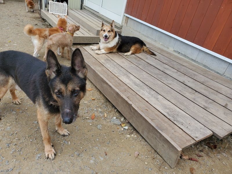 f:id:roukenhome-ann:20191003130115j:plain f:id:roukenhome-ann:20191003130115j:plain