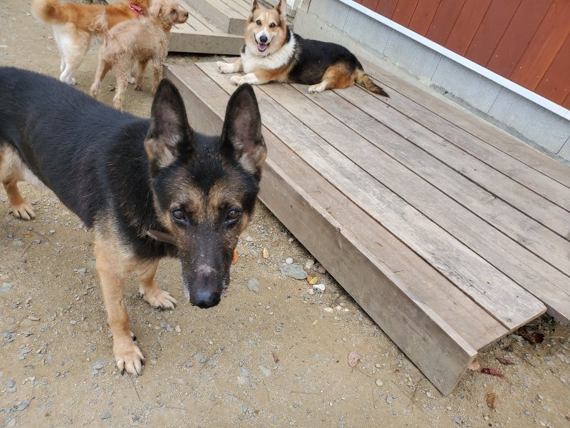 f:id:roukenhome-ann:20191003130121j:plain f:id:roukenhome-ann:20191003130121j:plain