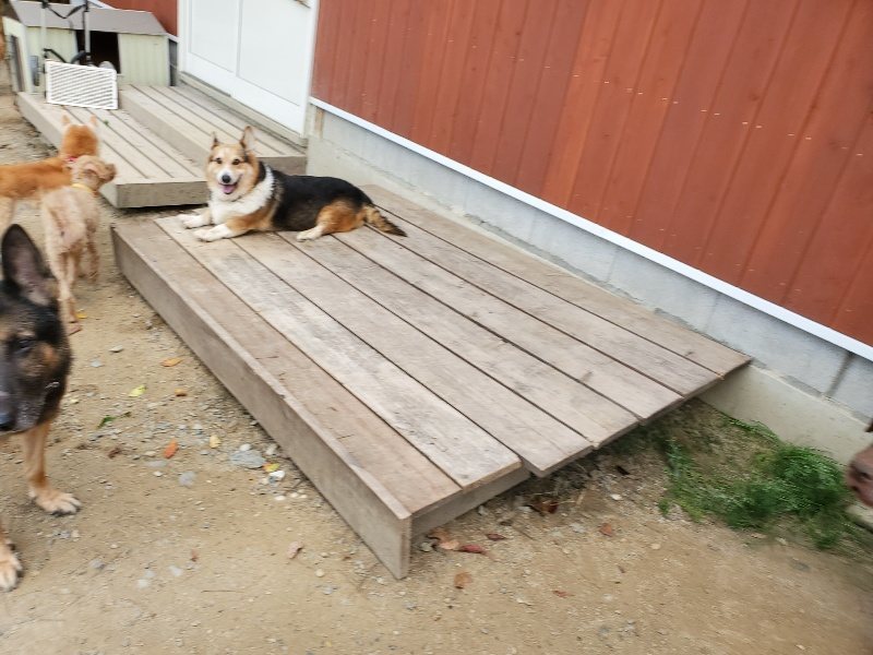 f:id:roukenhome-ann:20191003130125j:plain f:id:roukenhome-ann:20191003130125j:plain