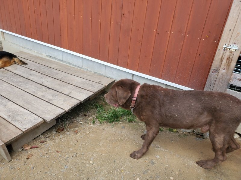 f:id:roukenhome-ann:20191003130130j:plain f:id:roukenhome-ann:20191003130130j:plain